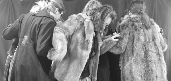Curieuses curiosités Samedi 7 juin à 11h00 (durée 1h20) – Image 2