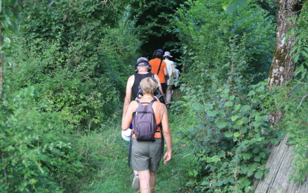 Balade sonore Samedi 7 juin à 18h15 (durée 1h) – Image 3